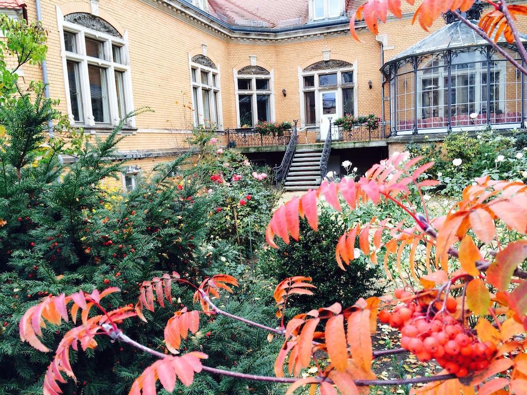 Pension Sanssouci Potsdam Room photo